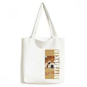 Dıythinker 33x40 Cm Erkek Kestane Vahşi Kırmızı Panda Hayvan Tote Kanvas El Çantası