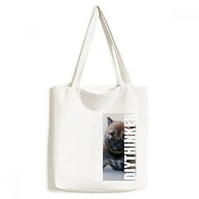 Dıythinker 33x40 Cm Erkek Pippy Köpek Hayvan Sevimli Resim Tote Kanvas El Çantası