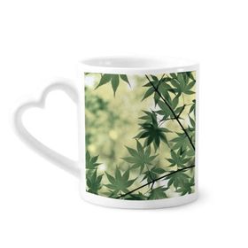 Dıythinker 340 ml Akçaağaç Yaprağı Bitki Resmi Doğa Kahve Kupası