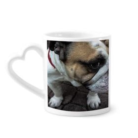 Dıythinker 340 ml Bulldog Evcil Hayvan Fotoğrafçılık Resimler Kahve Kupası