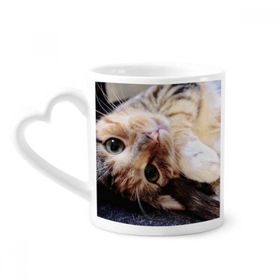 Dıythinker 340 ml Çizgili Kedi Rahatlatıcı Hayvan Sevimli Seramik Kalp Saplı Kupa