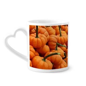 Dıythinker 340 ml Fotoğraf Taze Balkabağı Resim Doğa Kahve Kupası