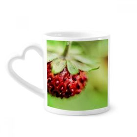 Dıythinker 340 ml Fresh Berry Resim Doğa Fotoğrafı Kahve Kupası