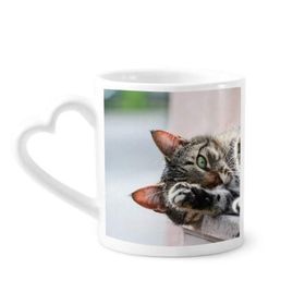 Dıythinker 340 ml Hayvan Aktivitesi Kedi Fotoğrafı Resim Kahve Kupası