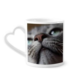 Dıythinker 340 ml Hayvan Bakıyor Kedi Fotoğrafı Kahve Kupası