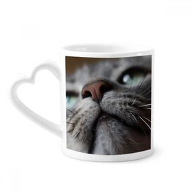 Dıythinker 340 ml Hayvan Bakıyor Kedi Fotoğrafı Kahve Kupası