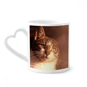 Dıythinker 340 ml Hayvan Duygusal Kedi Simpol Shoot Kahve Kupası