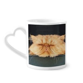Dıythinker 340 ml Hayvan Komik Sarı Kedi Çekimi Kahve Kupası