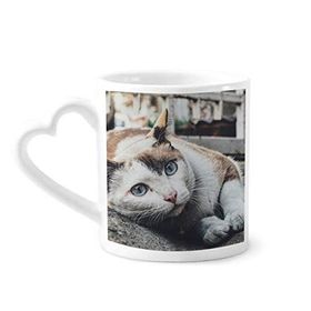 Dıythinker 340 ml Hayvan Renkli Kedi Fotoğrafı Resim Kahve Kupası