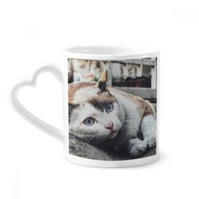 Dıythinker 340 ml Hayvan Renkli Kedi Fotoğrafı Resim Kahve Kupası