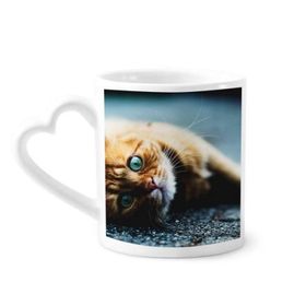 Dıythinker 340 ml Hayvan Saf Mavi Gözlü Kedi Fotoğrafı Kahve Kupası