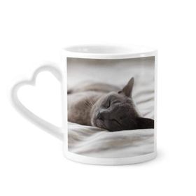Dıythinker 340 ml Hayvan Sevimli Gri Kedi Fotoğraf Çekimi Kahve Kupası