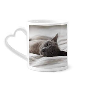 Dıythinker 340 ml Hayvan Sevimli Gri Kedi Fotoğraf Çekimi Kahve Kupası