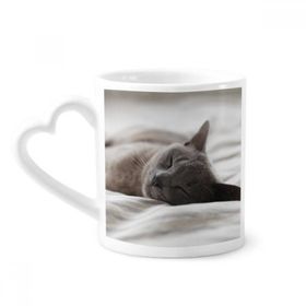 Dıythinker 340 ml Hayvan Sevimli Gri Kedi Fotoğraf Çekimi Kahve Kupası