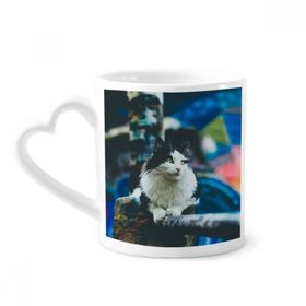 Dıythinker 340 ml Hayvan Tembel Kedi Fotoğraf Çekimi Kahve Kupası