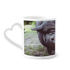 Dıythinker 340 ml Kalp Saplı Karasal Organizma Vahşi Hayvan Fotoğrafçılığı Kahve Seramik Kupa