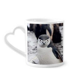 Dıythinker 340 ml Kalp Saplı Karasal Organizma Yabani Hayvan Penguen Kahve Seramik Kupa
