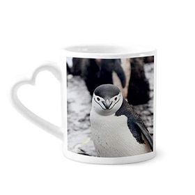 Dıythinker 340 ml Kalp Saplı Karasal Organizma Yabani Hayvan Penguen Kahve Seramik Kupa