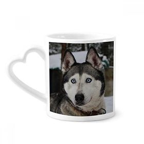 Dıythinker 340 ml Kalp Saplı Köpek Hayvan Kar Husky Fotoğrafçılık Kahve Seramik Kupa