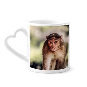 Dıythinker 340 ml Kalp Saplı Maymun Karasal Organizma Yabani Hayvan Kahve Seramik Kupa