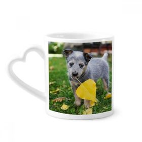 Dıythinker 340 ml Kalp Saplı Yakışıklı Yavru Köpek Evcil Hayvan Fotoğrafçılığı Resim Kahve Kupaları Seramik Kupa