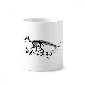 Dıythinker 350 ml 9x8 cm Beyaz Dinozor Kemik Kemikleri Siyah Seramik Kupa