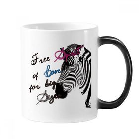Dıythinker 350 ml Basit Zebra Resim Mektubu Hayvan Değişen Renk Kupa