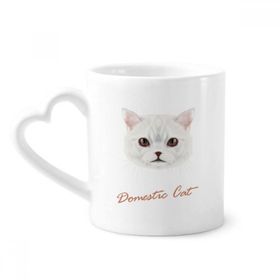 Dıythinker 350 ml Beyaz Ev Kedi Evcil Hayvan Hayvan Kupaları Seramik Kupa
