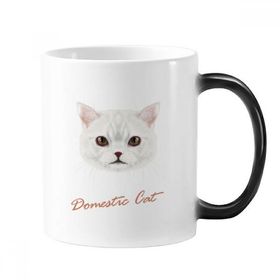 Dıythinker 350 ml Beyaz Ev Kedi Evcil Hayvan Renk Kupa