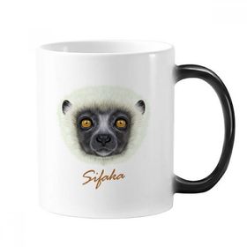 Dıythinker 350 ml Beyaz Pofuduk Sifaka Maymun Hayvan Renk Kupa