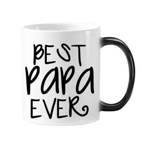 Dıythinker 350 ml Bless For Father Best Papa Ever Kelimeler Sözler Aile Değişen Renk Kupa