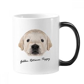 Dıythinker 350 ml Eğitimli Golden Retriever Yavru Köpek Hayvan Renk Kupa
