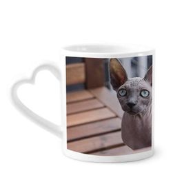 Dıythinker 350 ml Hayvan Büyük Kulak Kedi Fotoğraf Çekimi Kupaları Seramik Kupa