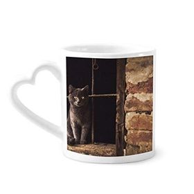 Dıythinker 350 ml Hayvan Köşe Kedi Fotoğraf Resim Kupaları Seramik Kupa