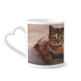 Dıythinker 350 ml Hayvan Sessiz Kedi Fotoğrafı Kupaları Seramik Kupa