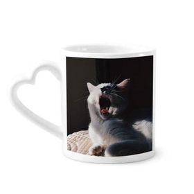 Dıythinker 350 ml Hayvan Yawn Kedi Fotoğraf Çekimi Kupaları Seramik Kupa