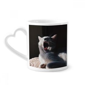 Dıythinker 350 ml Hayvan Yawn Kedi Fotoğraf Çekimi Kupaları Seramik Kupa