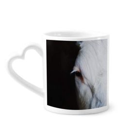 Dıythinker 350 ml Karasal Organizma Hayvan Fotoğrafçılığı Kupaları Seramik Kupa