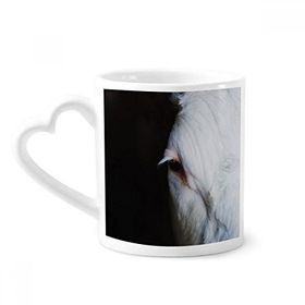 Dıythinker 350 ml Karasal Organizma Hayvan Fotoğrafçılığı Kupaları Seramik Kupa