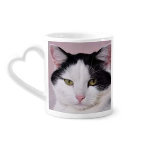 Dıythinker 350 ml Kedi Hayvan Evcil Hayvan Smokin Billicat Kupaları Seramik Kupa