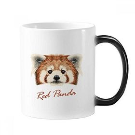 Dıythinker 350 ml Kestane Vahşi Kırmızı Panda Hayvan Değişen Renk Kupa