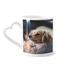 Dıythinker 350 ml Köpek Küçük Hayvan Yalnız Fotoğraf Kupaları Seramik Kupa