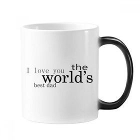 Dıythinker 350 ml Love World's Best Dad Festival Alıntısı Değişen Renk Kupa