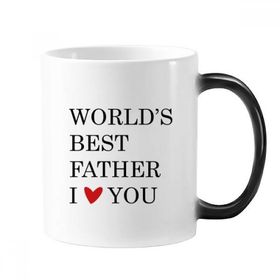 Dıythinker 350 ml Love You Best Father Dad Festival Alıntı Renk Kupa