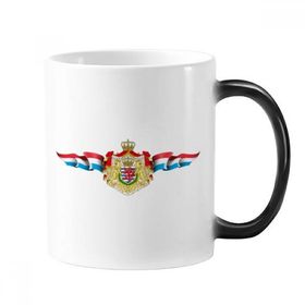 Dıythinker 350 ml Lüksemburg Bayrağı Ulusal Amblem Renk Kupa