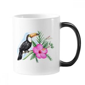Dıythinker 350 ml Ramphastos Toco Tropik Kuş Değişen Renk Kupa