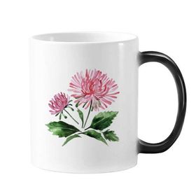 Dıythinker 350 ml Suluboya Pembe Krizantem Yeşillik Değişen Renk Kupa