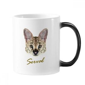 Dıythinker 350 ml Uzun Gözlü Benekli Vahşi Serval Hayvan Renk Kupa