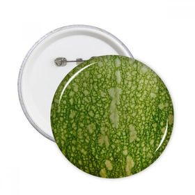 Dıythinker 5 Adet XL Yeşil Kabak Kabağı Kabuğu Makro Fotoğraf Desenleri Yuvarlak Pimler Rozet Düğme Giysi Dekorasyon