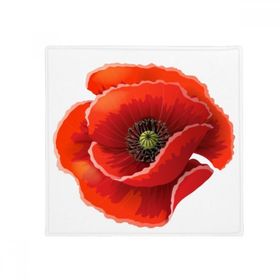 Dıythinker 60x50 cm Çok Renkli Kare Kırmızı Çiçek Boyama Büyük Mısır Gelincik Kaymaz Zemin Evcil Hayvan Matı